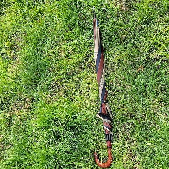 Aramis Talks Dry Wit Rainy Weather Umbrella Hook Handle 35.5 in. Long - Picture 10 of 10